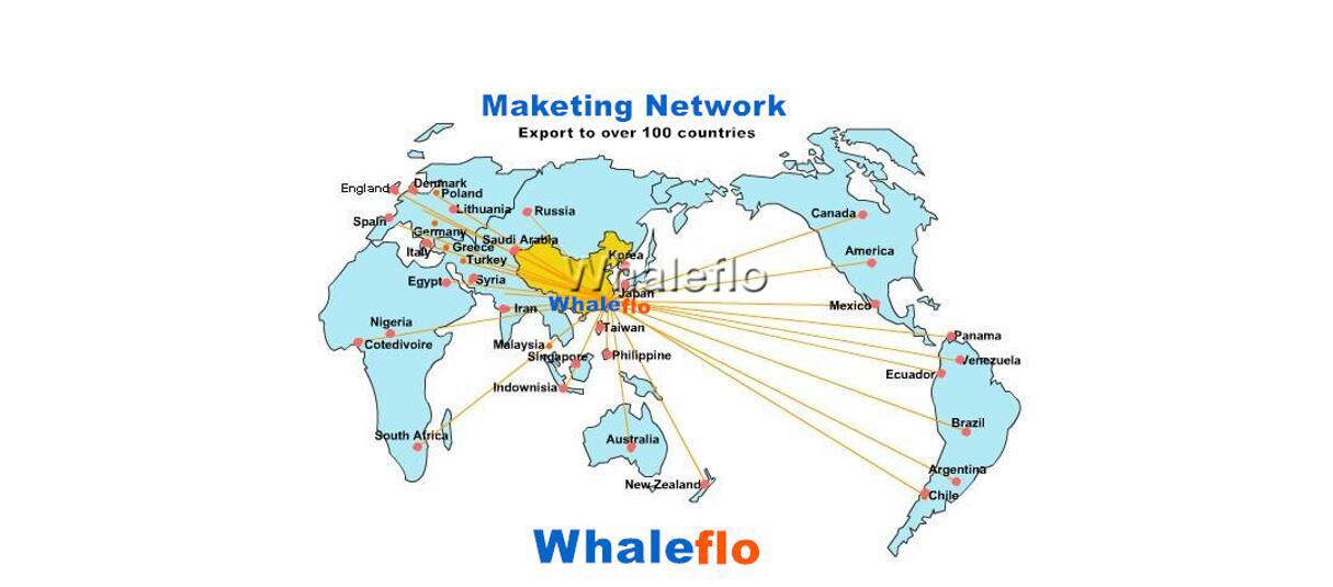 Whaleflo-Markt