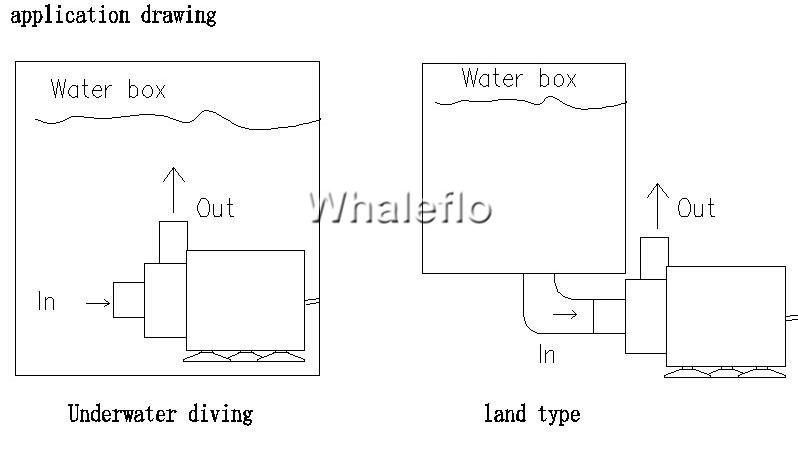 Anwendungszeichnung der Whaleflo DC-Mikropumpe