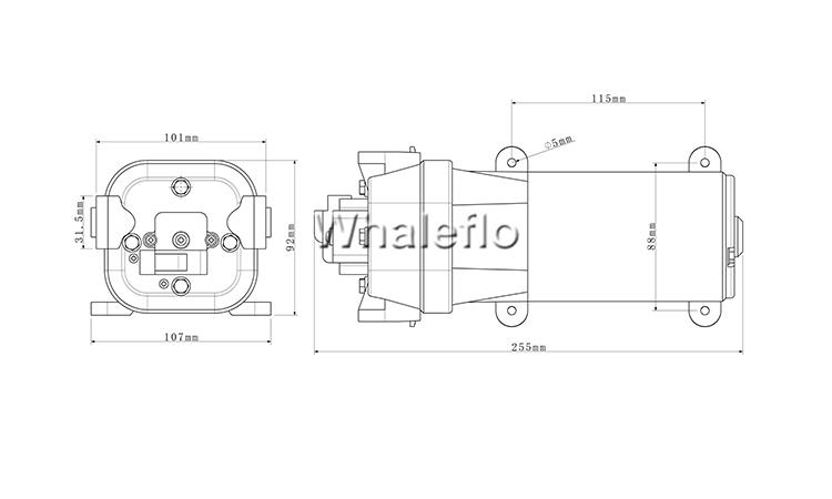 Whaleflo low pressure pump