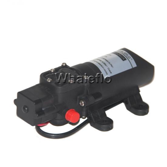 12V battery sprayer pump