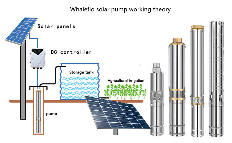 Whaleflo Neue Solarpumpe mit MPPT-Controller
